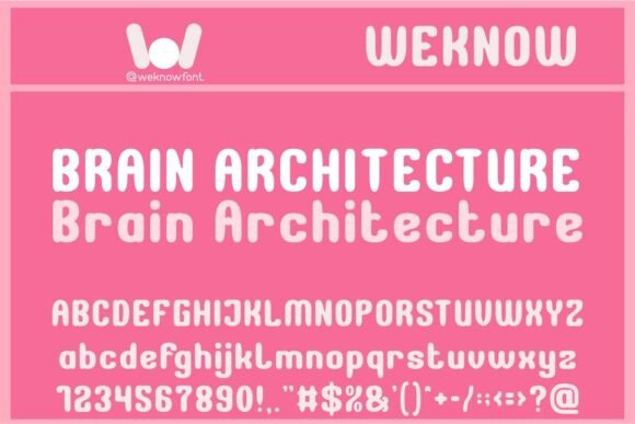 Brain Architecture: Whimsy Meets Precision