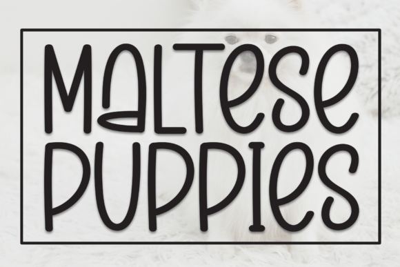 Maltese Puppies: Elevating Design with a Charming, Handmade Typeface