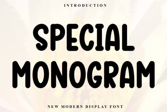 Special Monogram: Evaluating a Versatile Script Font for Modern Design Projects